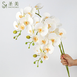 3D��ӡ7�^�����m ���ϼٻ� �҃��b� ���滨��c�zӰ �Ҿ��b�