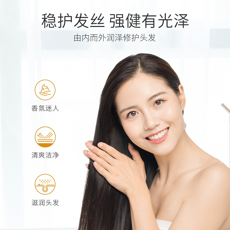 Champú de jengibre Sena Nana Limpieza profunda, Refrescante, Hidratante, Suavizado, Mejora del cabello, Fábrica de frizz al por mayor image 4