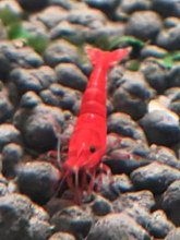 �^�p�r���r���w��ˮ�����r�坍�����rˮ�ݸ�С�r�{��ʯ�O���S����