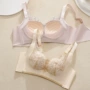 夏季调整型聚拢女士胸罩