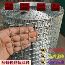 热镀锌铁丝网围栏防锈网防鼠网钢丝隔离网菜园拦鸡网圈地网玉米网
