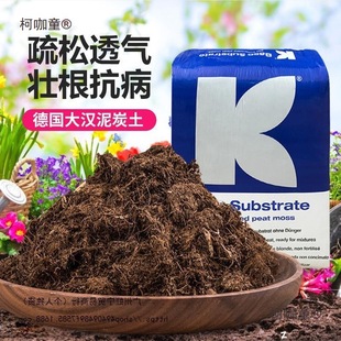 ��42K41�M��̿�����M��39����24��̿�m����33����I�B��1��̫��