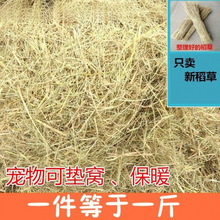 ۫�Z���ݸɲ݉|�������^���ݹ��C�u����|�C��Ȼ�ɵ��ݽն��̗U��