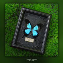 ������˱���� �W���b�DIY�͹����[̨�Ҿ��b����նY��YƷ