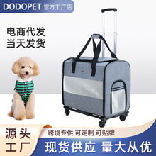 �������U�������؈������\��͸�����U�����ṷ����؈���T��y��