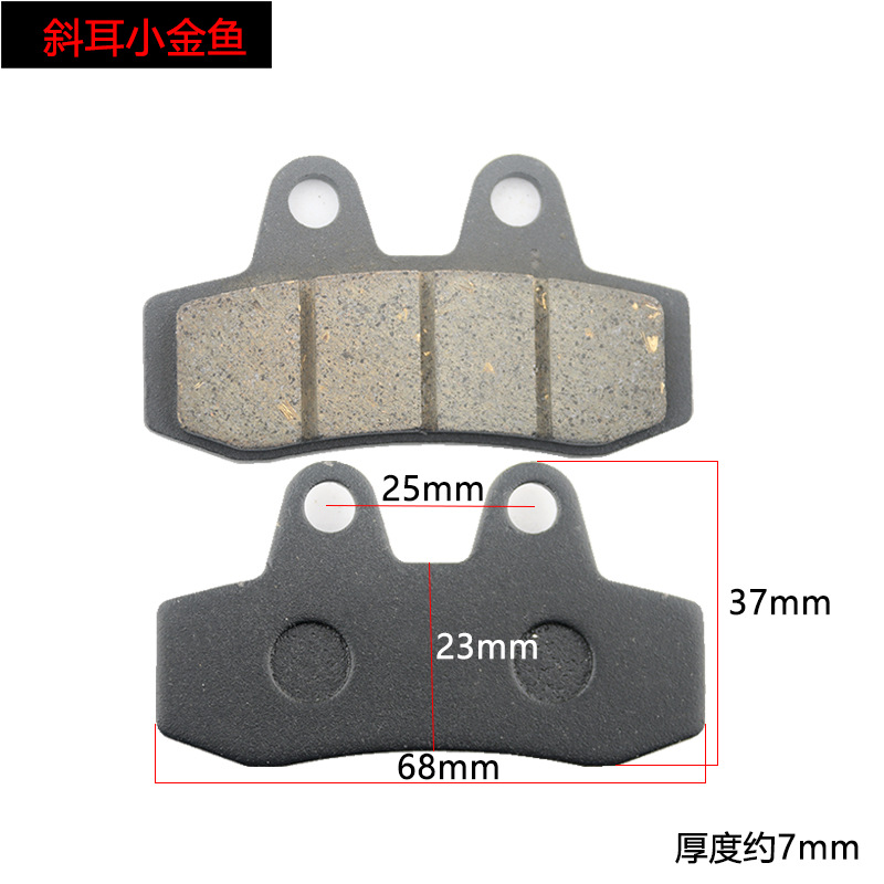 Small goldfish with slanted ears