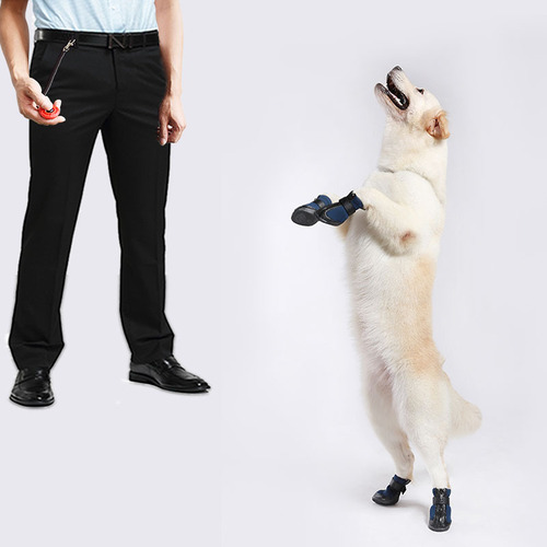 Pet dog training supplies clicker trainer fast dog training device clicker whistle command equipment trainer