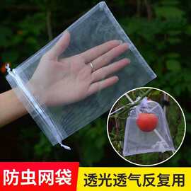 水果套袋防鸟网纱袋防虫袋果树无花果葡萄桃子草莓保护袋果蝇种植