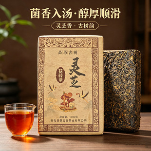 �茚��ӛ�����ڲ����l������Ř��`֥�ڲ��ֺB�u��ڲ�������