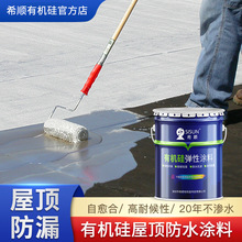 希顺有机硅双组份楼顶屋顶防水涂料裂缝防水剂渗透隔修补堵漏