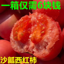 山東普羅旺斯洋柿子生吃番茄西紅柿新鮮沙瓤自然熟孕婦水果鮮蔬菜