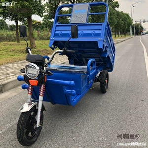 Electric Tricycle Express Climbing Freight Transport Substitute Pick-up Agricultural Adult New Car Mountain Area Factory