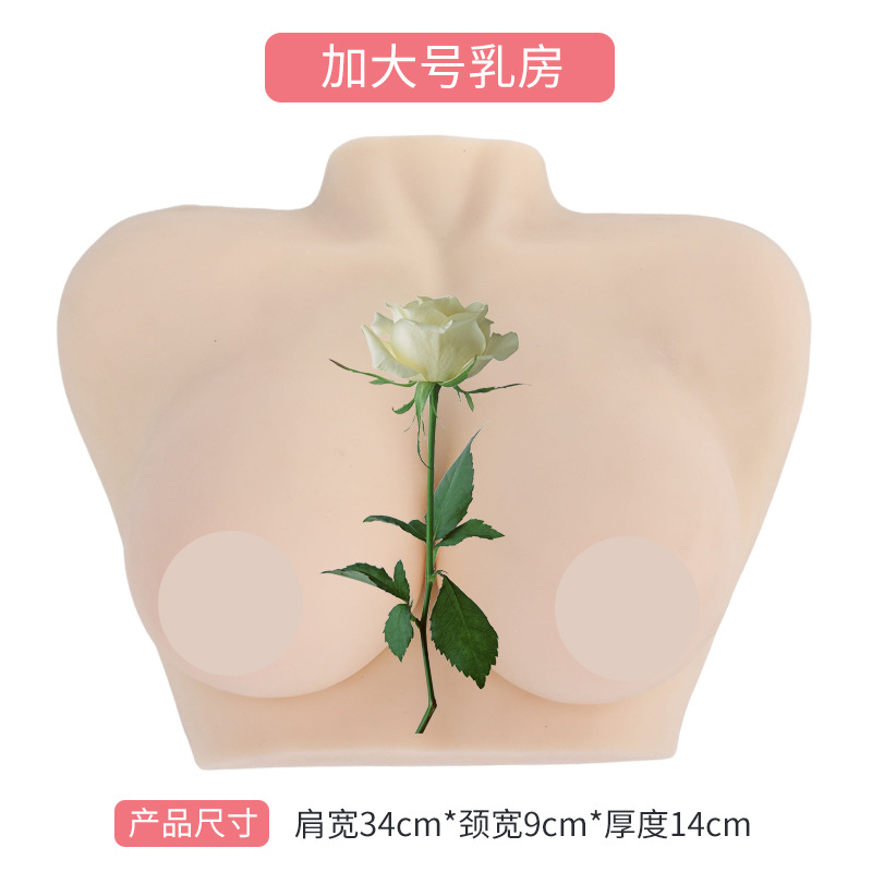 Ů���鷿ģ�� ����ʦ��ѵ���߲����ѧģ�� �轺���鷿 ҽѧ�̾�