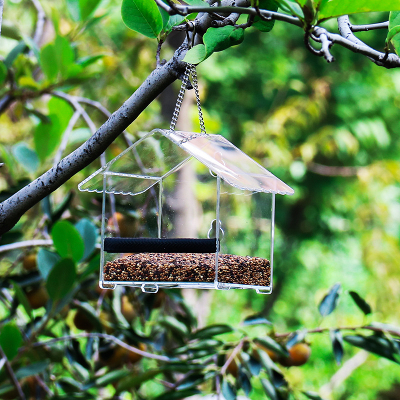 Casa pequeña Alimentador de pájaros Alimentador de pájaros al aire libre Alimentador de pájaros acrílico con ventosa Alimentador de pájaros de vidrio Verde