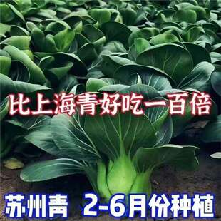 �ļ��ڴ��^�Ϻ���˷N�Ӵ��~���~����