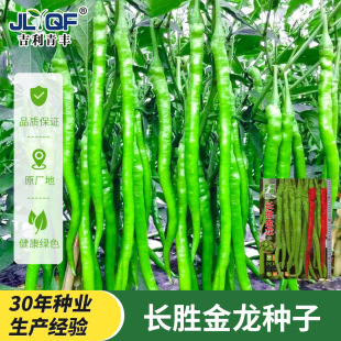 �����N�ӳ����߮a�������G�l�L�ļ��N�������Ϸ��N���߲˷N�ݴ���