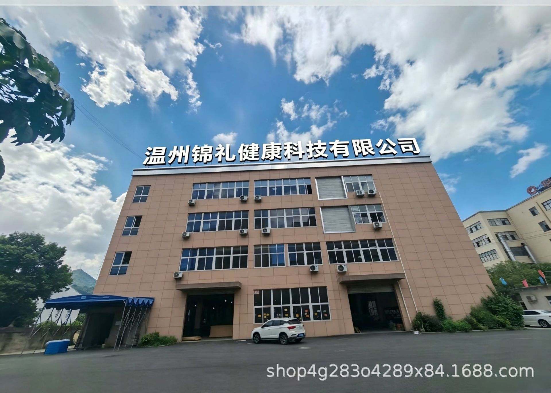 手持吸附式挂烫机小型蒸汽熨烫便携干湿两用除皱家用多功能电熨斗