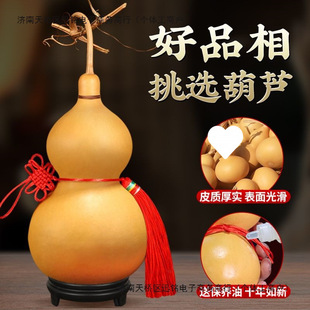 ��Ʒ��Ȼ���J�[���Ҿ��Ї��Y������w�����^����J���挣���͵���