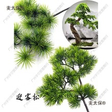 ������֦�ɘ��~ӭ���ɘ�֦�_�h�ɼ��~�����ɰ�֦�l�������~��̫��