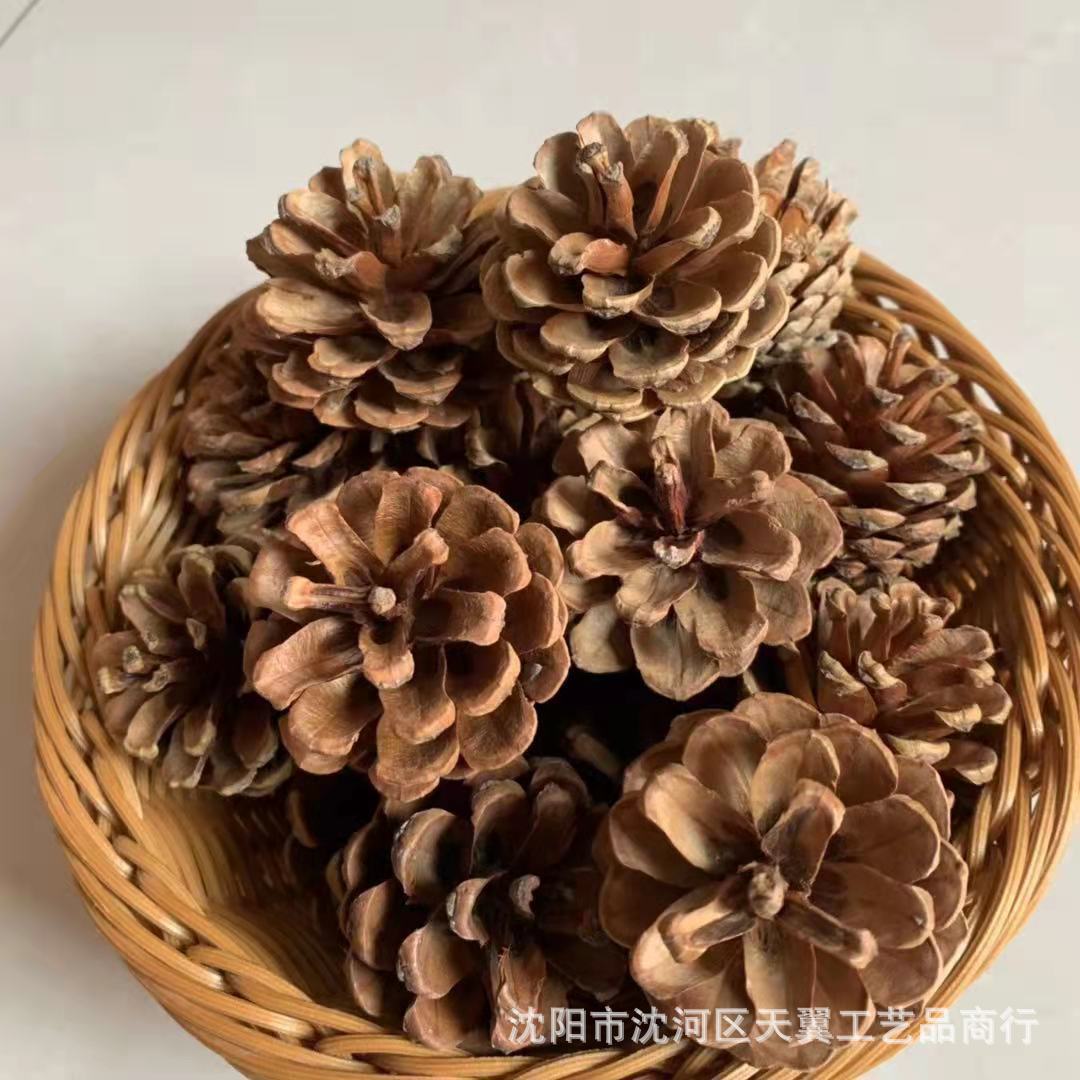 2e47ef80ffb47b7a38aaccfdc3ab06