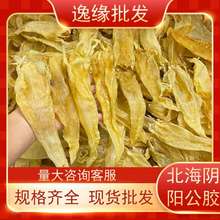 工厂批发供应北海阴阳公肚胶花胶海味滋补鱼胶直播选品滋补养颜