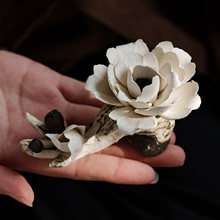 ���S���z�����մɻ�����������ĵ�������бP��޹�U�����ֹ��[��