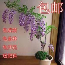 ���ٻ������ɫ���ٻ����ļ��_����ˮ�����̨ͥԺ�����ϱ����Nֲ