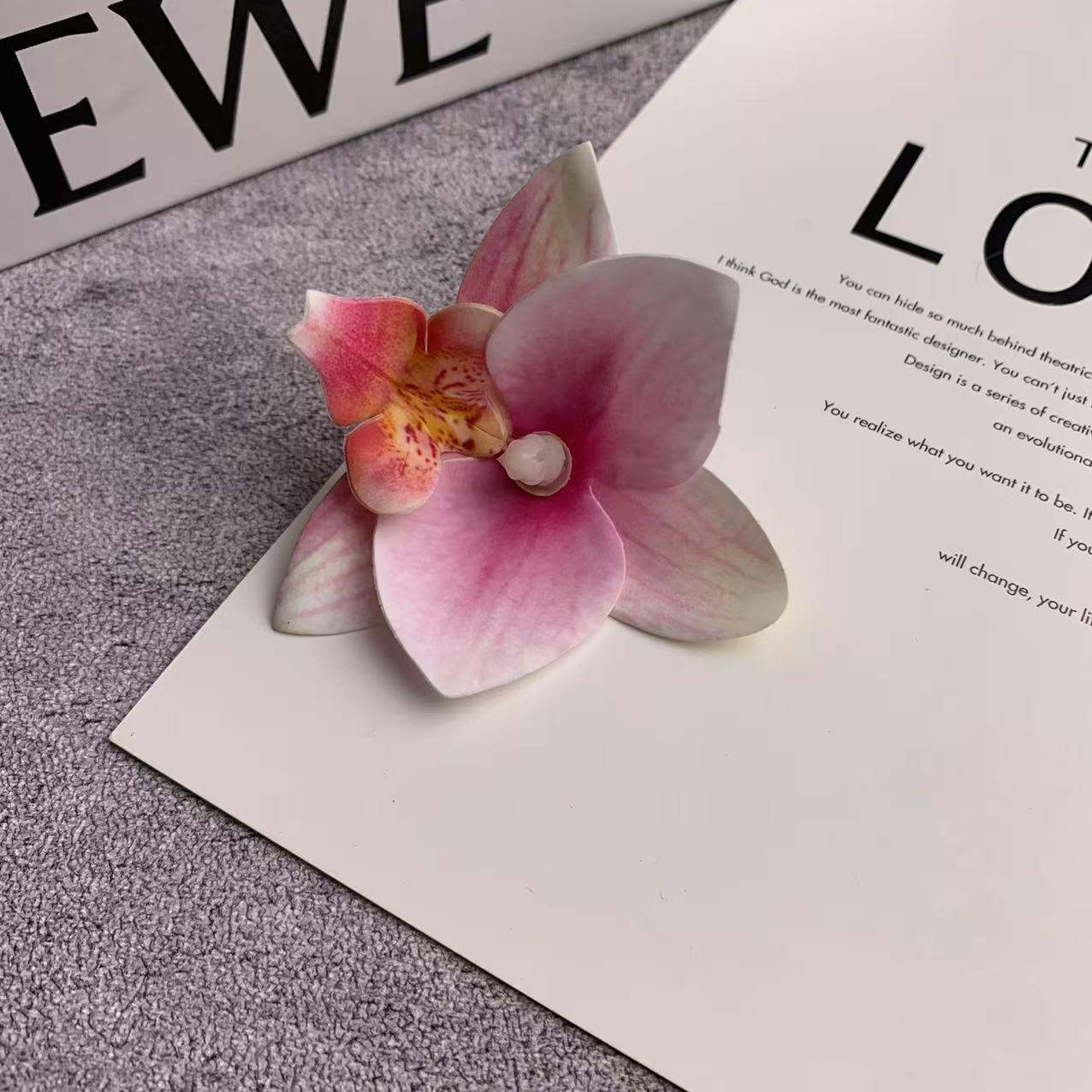 미니 호접란 꽃잎 파우더 1