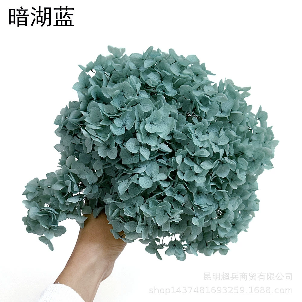 [Вечная Life Flower Hydrangea] Анна Градиентный цвет Лист Hydramid Книга цветов оптом DIY цветочная коробка материал для просмотра