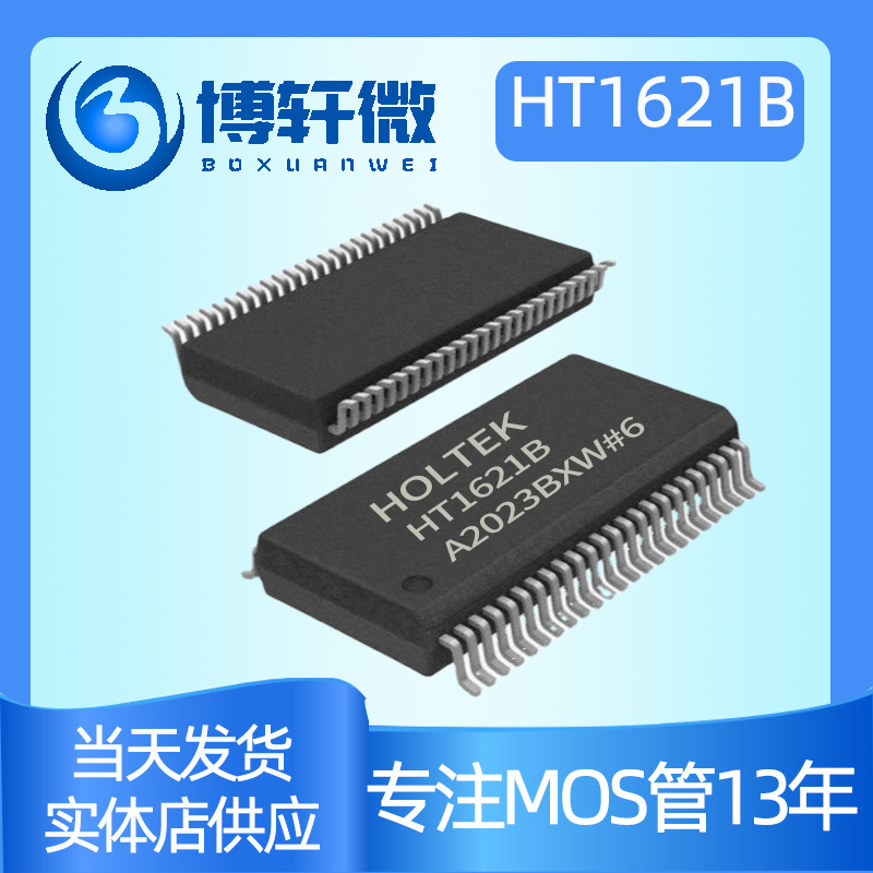Taiwan-Made Ht1621B Ht1621 Ssop-48 Lcd Dynamic Lcd Display Driver Ic 1621