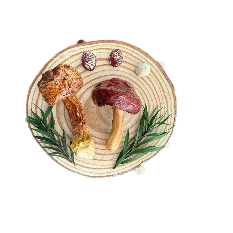 云南真蘑菇冰箱贴菌子真植物果实木头标本装饰手工创意工艺品滴胶|undefined