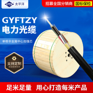 ����GYFTZY 36о�ӽg���| ����ֱ��ӽgʽ����ͨ�Ź��|���w���|