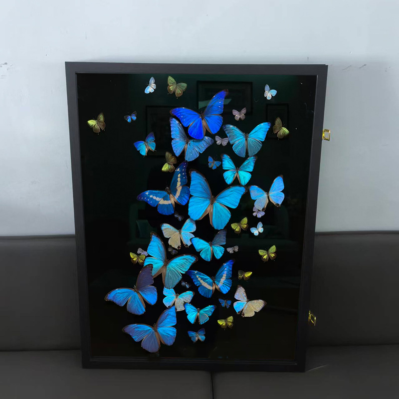Chinese Style Butterfly Specimen 60X80 Photo Frame Hollow Three-Dimensional Picture Frame DIY Material Rectangular Wall Hanging Decorative Photo Frame Chinese Style Butterfly Specimen 60X80 Photo Frame Hollow Three-Dimensional Picture Frame DIY Material Rectangular Wall Hanging Decorative Photo Frame