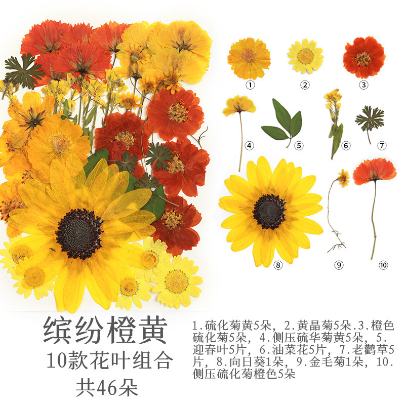 컬러풀한 오렌지(46송이)