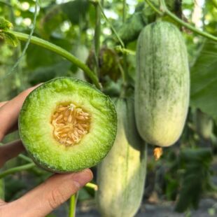 ����72̖����ִ��������r����ˮ��������������