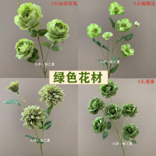 ��c�Gɫϵ���滨 ɭϵ��Y�õ������·�������廨�zӰ�������l