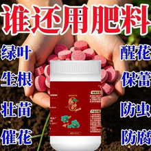 ͥ@ˇጷͨ;Ƭ҃BԶЙC