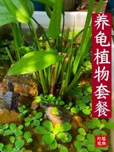 ˮ������ˮ��ͥԺ�����~��ˮ�|�ŷ��~���쾰�B�~�b��ӝ��^�Vֲ��