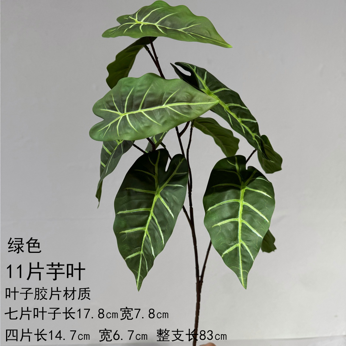 11 hojas de taro - verde