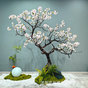 �滨����һ�÷��ӭ�����S��ɫ�����҃�ֲ�ﻨˇ�����߷���