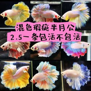 ̩�����~�Ꭷ�^�p�~覴û鼆�~���¹��~���wҹ�Д[���W�t���l
