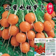 С����ˮ�����}���N���r��������}���N�����＾ͥԺ�N�߲˷N��