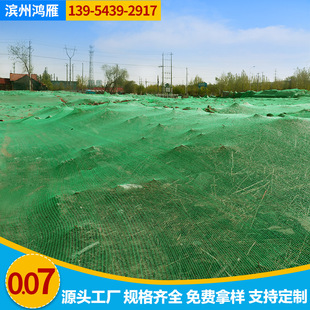 Пыль -Накрыть чистой зеленой строительной площадки, озеленение сети Оптовая строительная площадка, покрытая покрытой крышкой, покрываем сеть