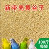 Xinhuang Valley Brew 100 catties/bag No. 29 No. 21 parrot small bird feed Qinzhou Huangbai skin bird food