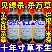 Ҋ�G�� ���f���s��һ�߹���@좲ݸ�좔��ݿ��rș��ȫ���݄��ߝ�