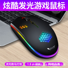 �I���wM55�о�USB��� RGB�l���Α���� ��X�k���Α�������