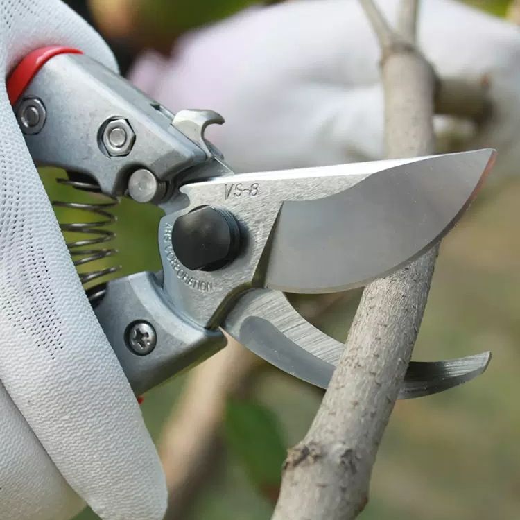 ARS爱丽斯VS-789XZ园林园艺工具 修枝剪果树修花手剪剪刀修枝剪