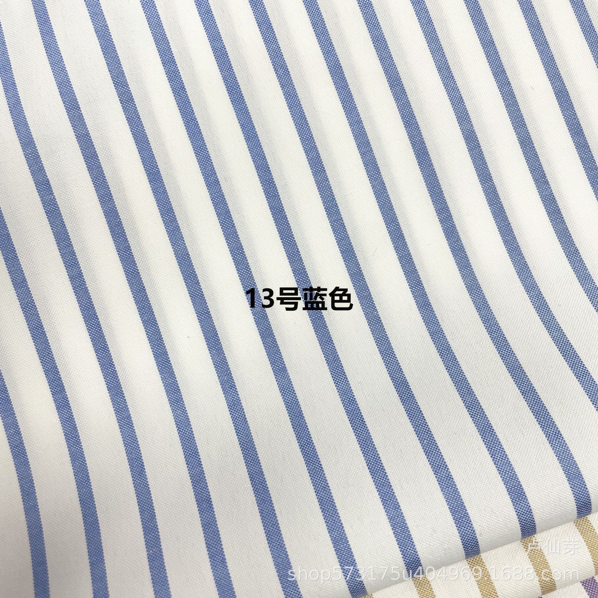 13호 블루