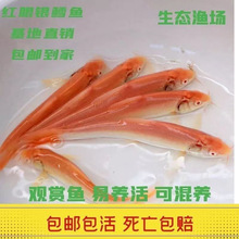 �㽭�y�L�~��t���L�~�絭ˮ�Bֳʳ�ô��[?�~���L���~���Bֳ�^�p