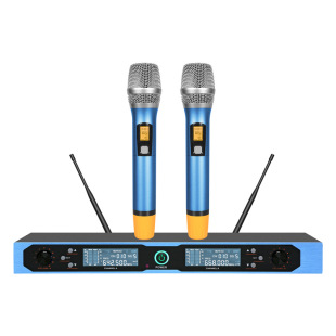 Ktv One-To-Two Wireless Microphone Stage Performance Wedding Home Entertainment Project Professional Fm Wireless Microphone